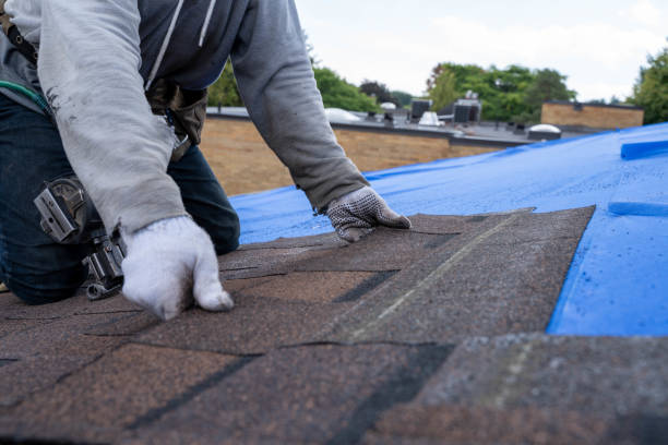 Best Storm Damage Roof Repair  in Lake Darby, OH