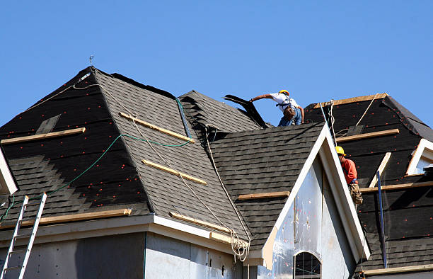 Best Gutter Installation and Roofing  in Lake Darby, OH