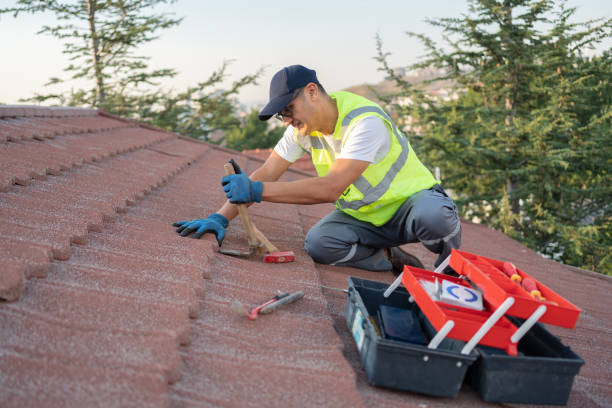 Best Roof Repair Services  in Lake Darby, OH
